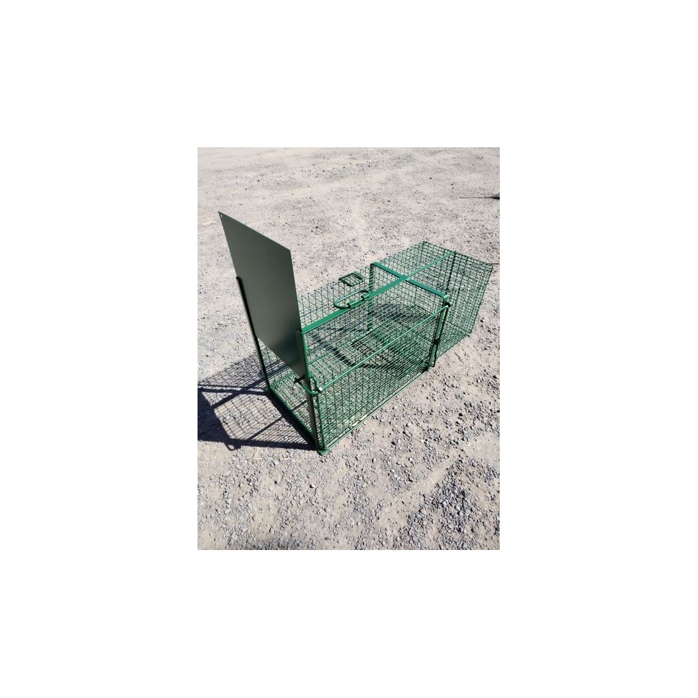 Cage à raton-laveur compact