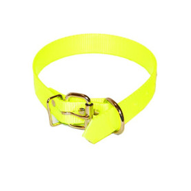 Collier fluorescent pour chien de chasse 35cm.