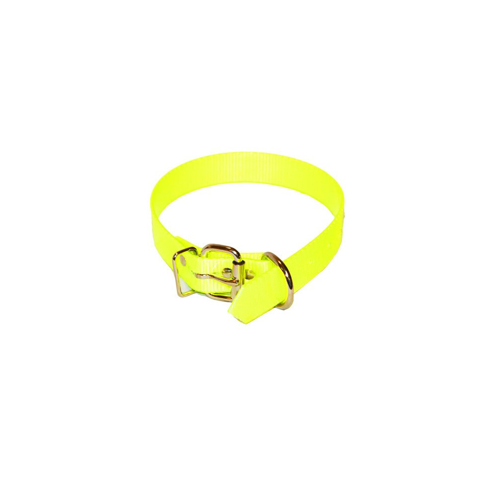 Collier fluorescent pour chien de chasse 35cm.