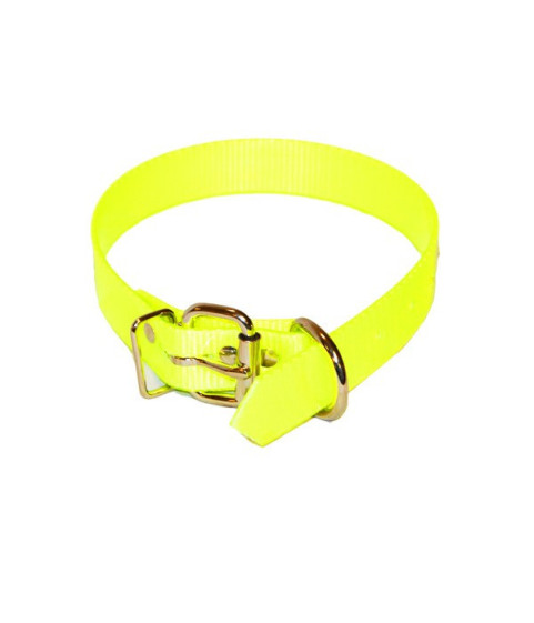 Collier fluorescent pour chien de chasse 35cm.