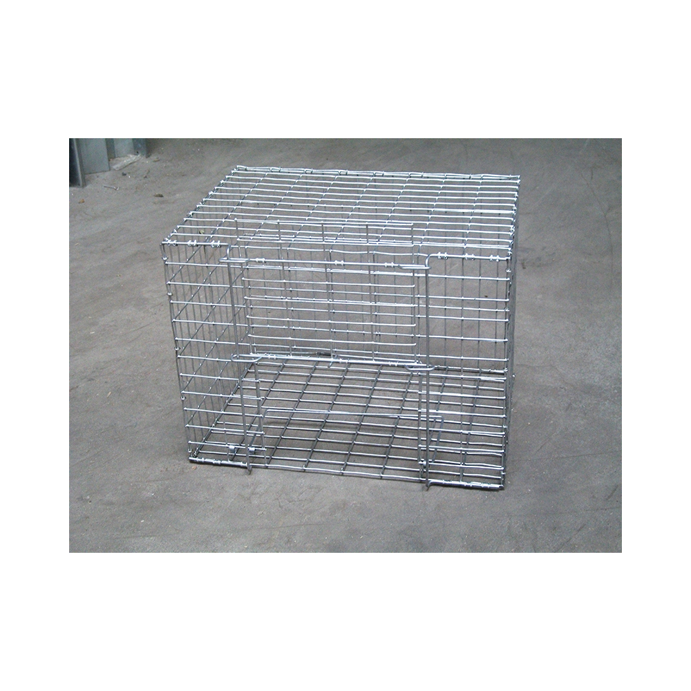 Cage attrape pigeon 40x30x30