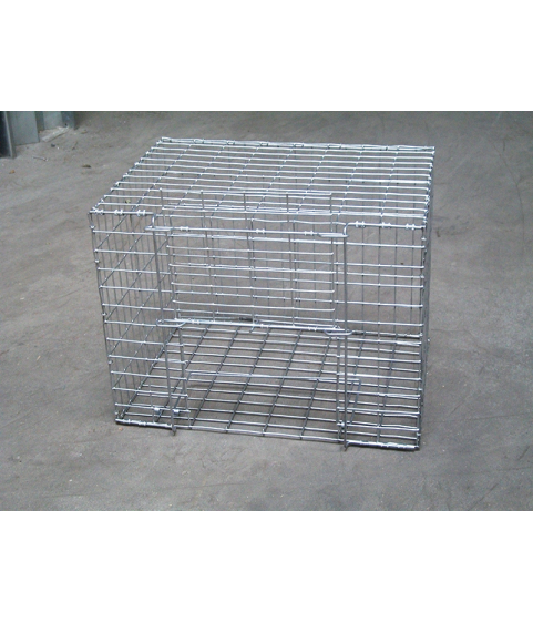 Cage attrape pigeon 40x30x30