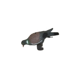 Forme de pigeon becquetant