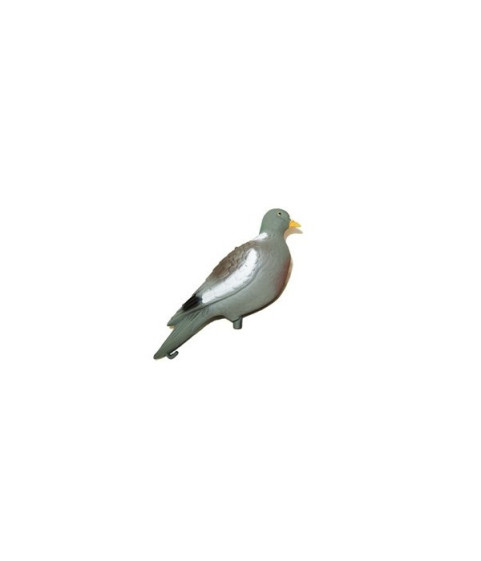 Forme de pigeon droit
