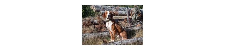 Catégorie Spécial Chiens, chenils, aliments pour chiens, cages de transport...